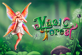 Magic Forest