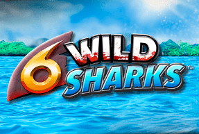 6 Wild Sharks