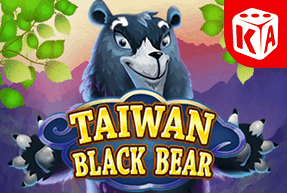 Taiwan Black Bear