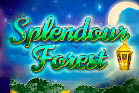 Splendour Forest