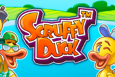 Scruffy Duck