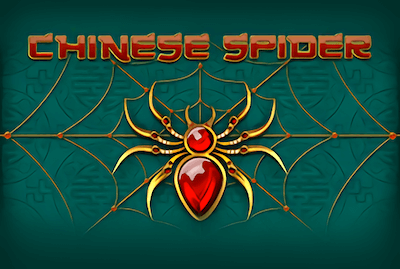 Chinese Spider