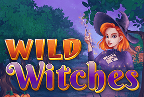 Wild Witches