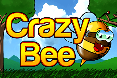 Crazy Bee