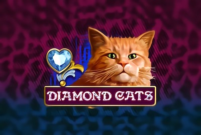 Diamond Cats