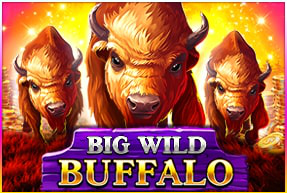 Big Wild Buffalo