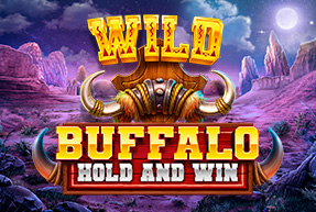 Buffalo Hold and Win