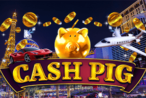 Cash Pig