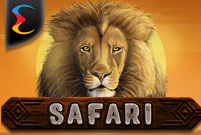 Safari