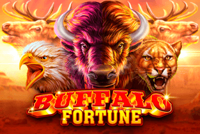 Buffalo Fortune