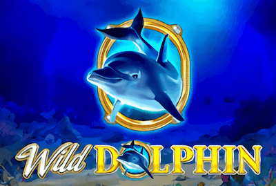 Wild Dolphin