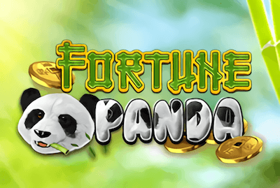 Fortune Panda