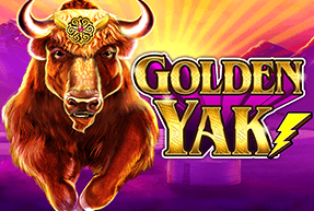 Golden Yak