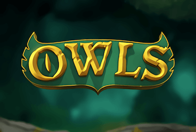 Owls