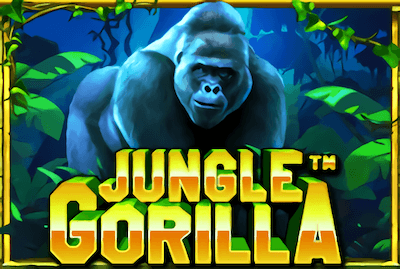 Jungle Gorilla