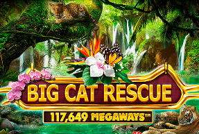 Big Cat Rescue Megaways