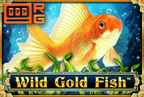 Wild Gold Fish