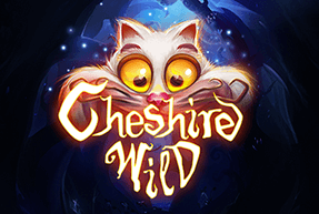 Cheshire Wild